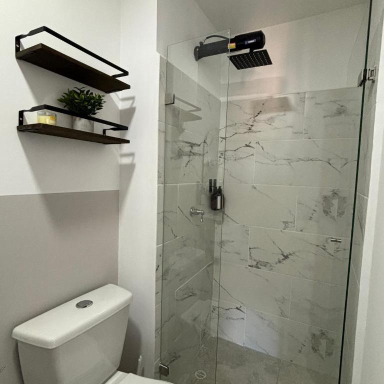 Apartamentos Virginia 34 -No contamos con recepción, ingreso autónomo - Estudio Superior - 1