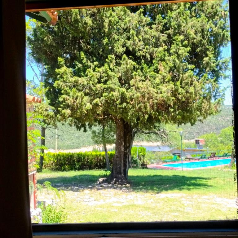 Mirador del lago apart y cabañas- exclusivo adultos - Apartamento - 35