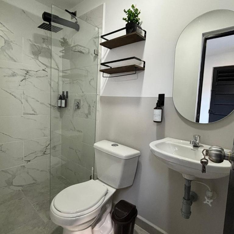 Apartamentos Virginia 34 -No contamos con recepción, ingreso autónomo - Estudio - 1