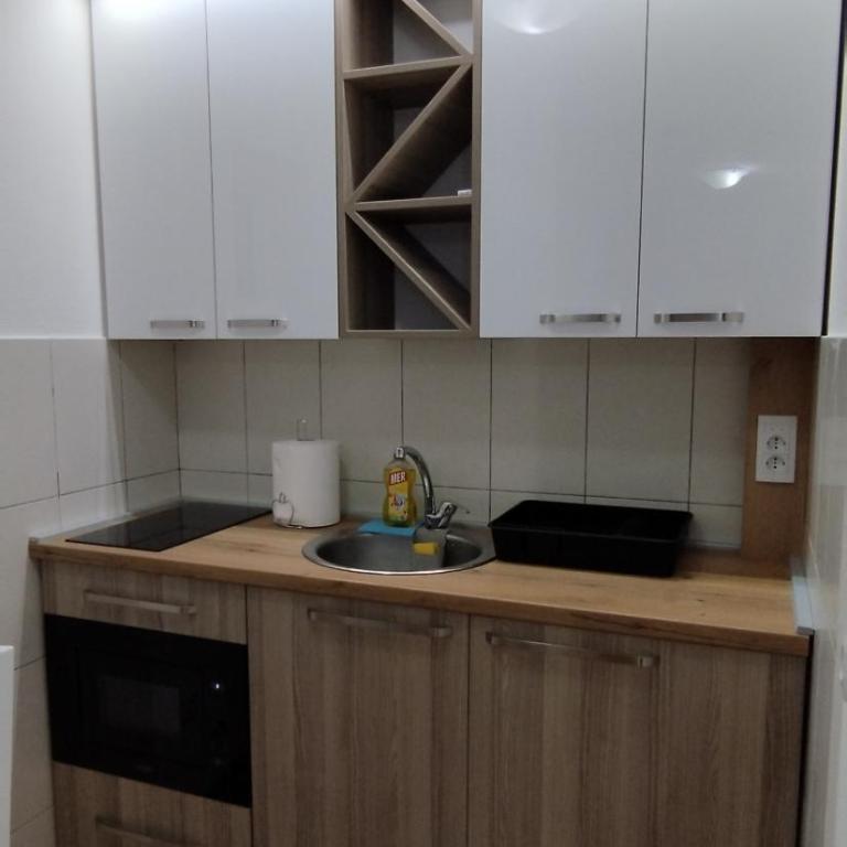Apartman Ognjen Vrnjacka Banja - Apartman sa 1 Spavaćom Sobom - 5