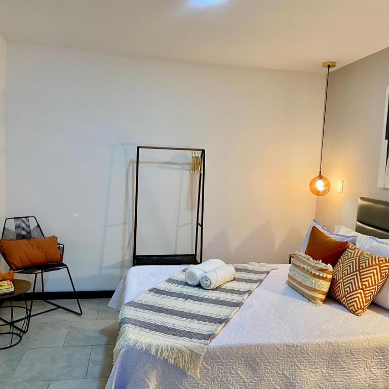 Apartamentos Virginia 34 -No contamos con recepción, ingreso autónomo - Estudio - 3