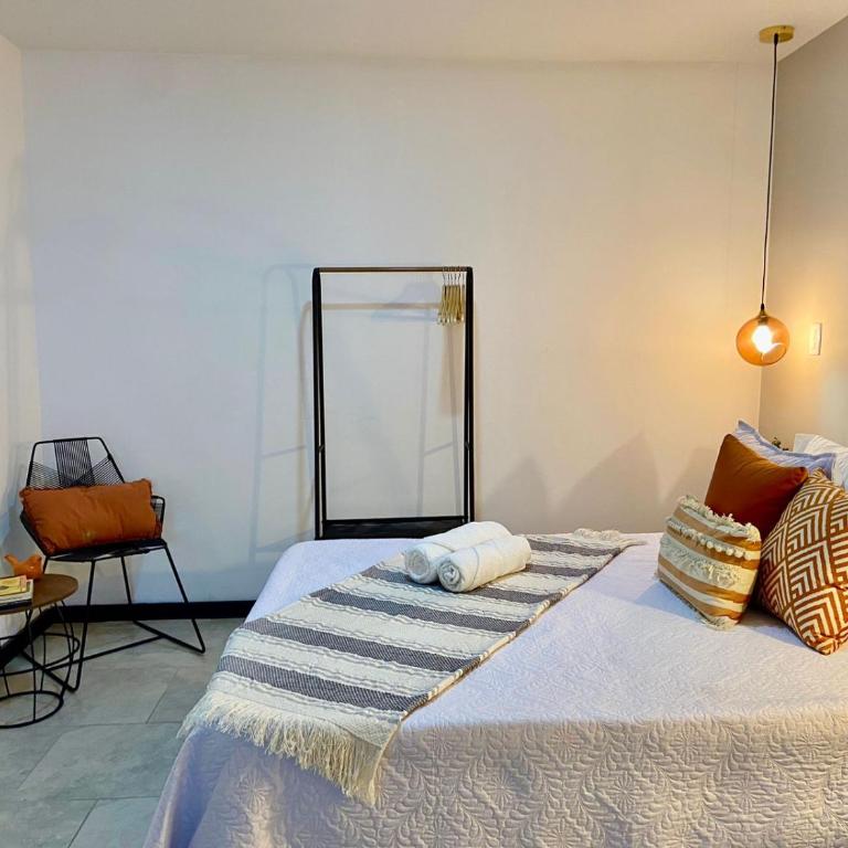 Apartamentos Virginia 34 -No contamos con recepción, ingreso autónomo - Estudio - 4