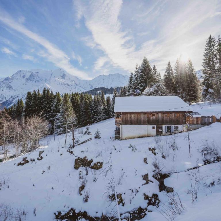 Chalet de l'Emey - 12 pers - Chalet Supérieur - 40