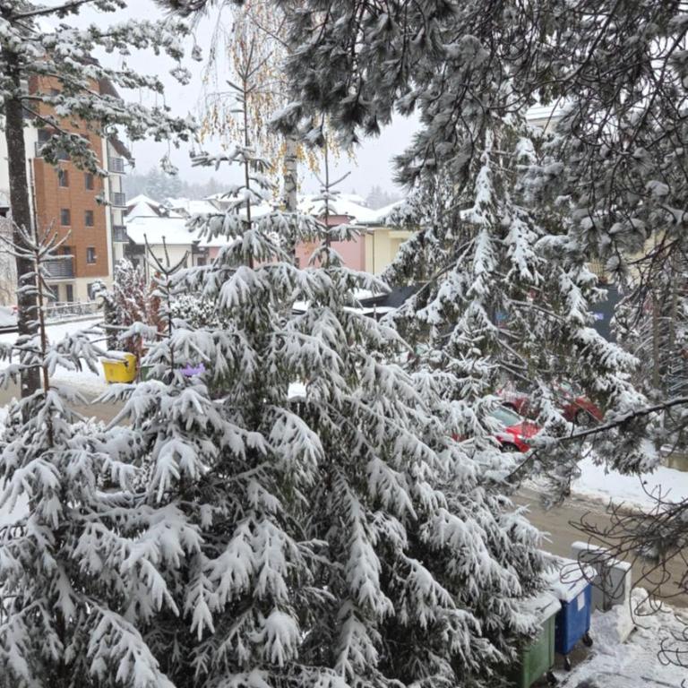 Aurora Lux Apartmani 16 - Apartman sa 1 Spavaćom Sobom - 59