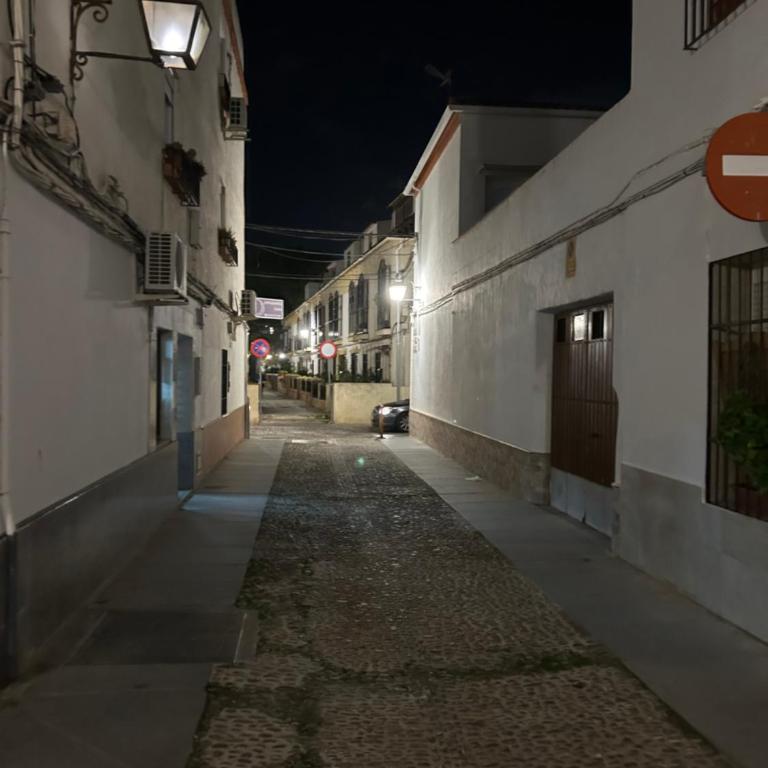 Las Nieves - Apartamento de 1 dormitorio - 15
