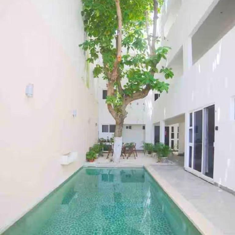 Almond Suites - One-Bedroom Apartment - 9