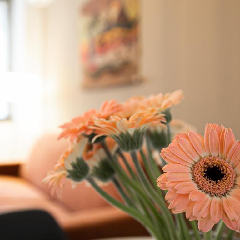 Italianway Comfort - Bergamo 11 A - Appartamento - 44