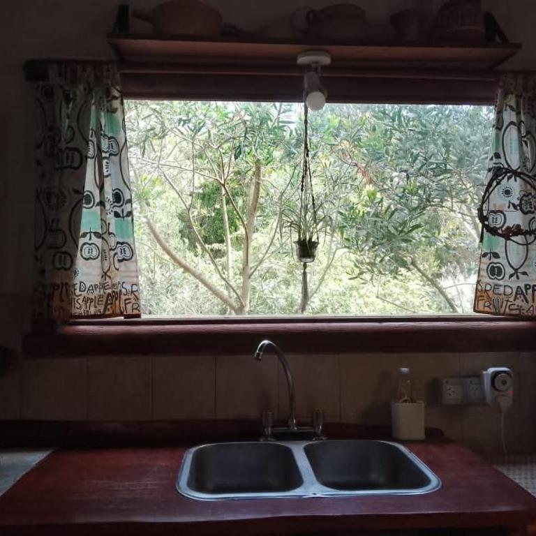 Colonia Marina - One-Bedroom House - 2
