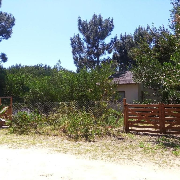 Colonia Marina - One-Bedroom House - 4