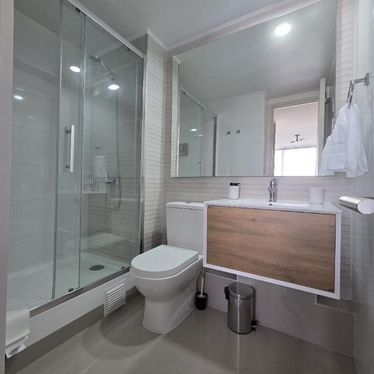 Hermoso departamento en el corazón de Santiago con estacionamiento - Two-Bedroom Apartment - 7