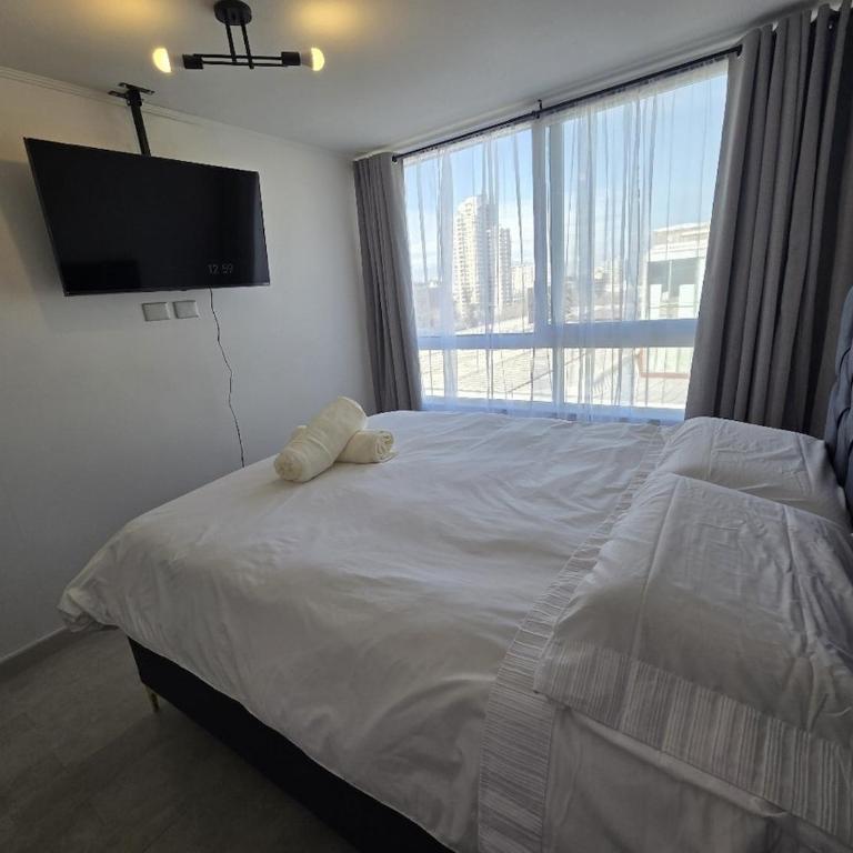 Hermoso departamento en el corazón de Santiago con estacionamiento - Two-Bedroom Apartment - 13
