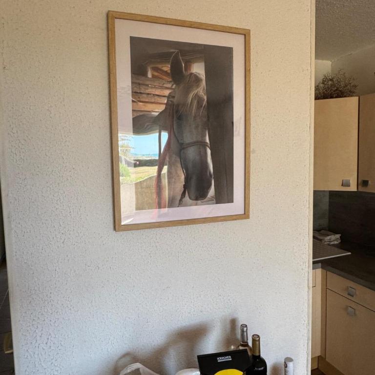 APPA thalacapA2 - Appartement 2 Chambres - 2