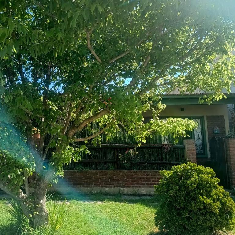 Alojamiento Playa Serena II - Casa con 1 dormitorio - 14