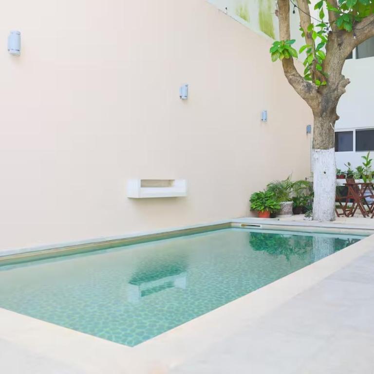 Almond Suites - One-Bedroom Apartment - 12