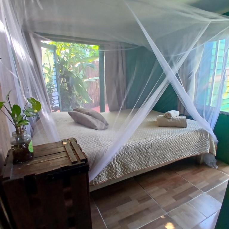 Green House Hostel - Double Room - 3