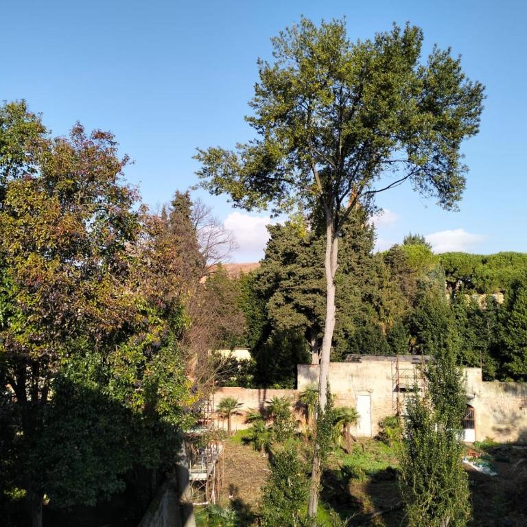 Palazzo Sosia, Pisa centro storico - Appartamento con 3 Camere da Letto - 51