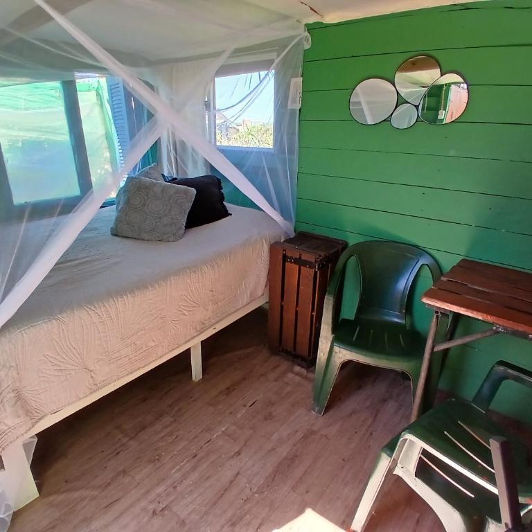 Green House Hostel - Standard Double Room - 3