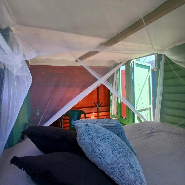 Green House Hostel - Standard Double Room - 2