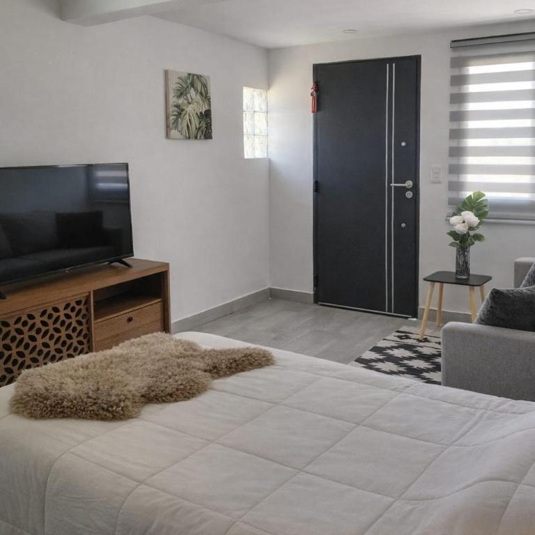 Attraversiamo - Studio Apartment - 2