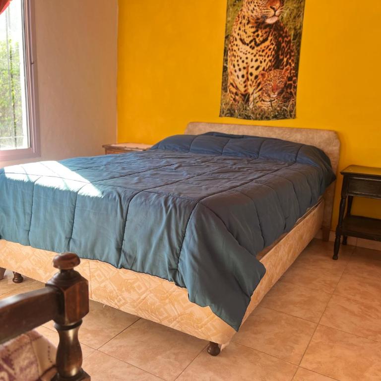 Timtaya - Two-Bedroom House - 1