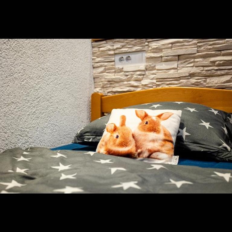 ManasR - One-Bedroom Apartment - 11