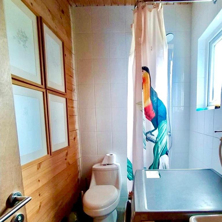 Casa Azul Frutillar - Two-Bedroom House - 5