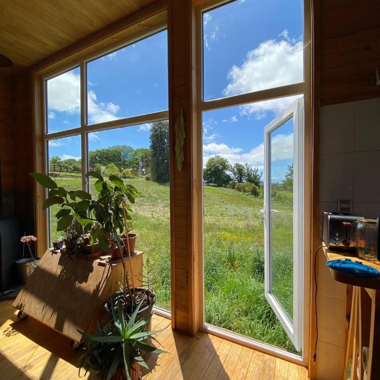 Casa Azul Frutillar - Two-Bedroom House - 8