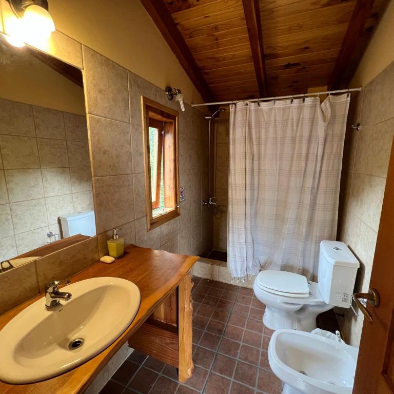 Refugio Patagónico - Silencio en bosque nativo - Chalet de 3 dormitorios - 29