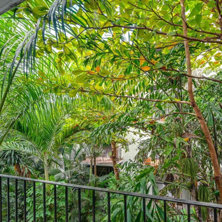 1 Block to Playa Los Tules, Pool Access! Lush Unit - Apartment - 20
