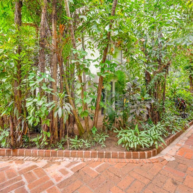 1 Block to Playa Los Tules, Pool Access! Lush Unit - Apartment - 24