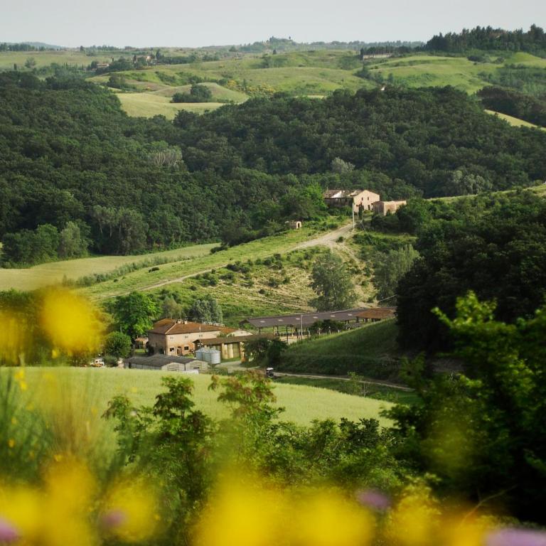 Fattoria Barbialla Nuova - Villa con Vista Giardino - 16