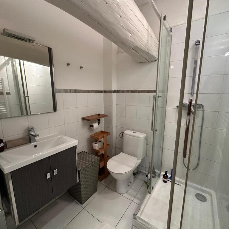 Le Breizh'Aix - Joli duplex au cœur du centre ville d'Aix-en-Provence avec jardin - Apartment mit 1 Schlafzimmer - 23