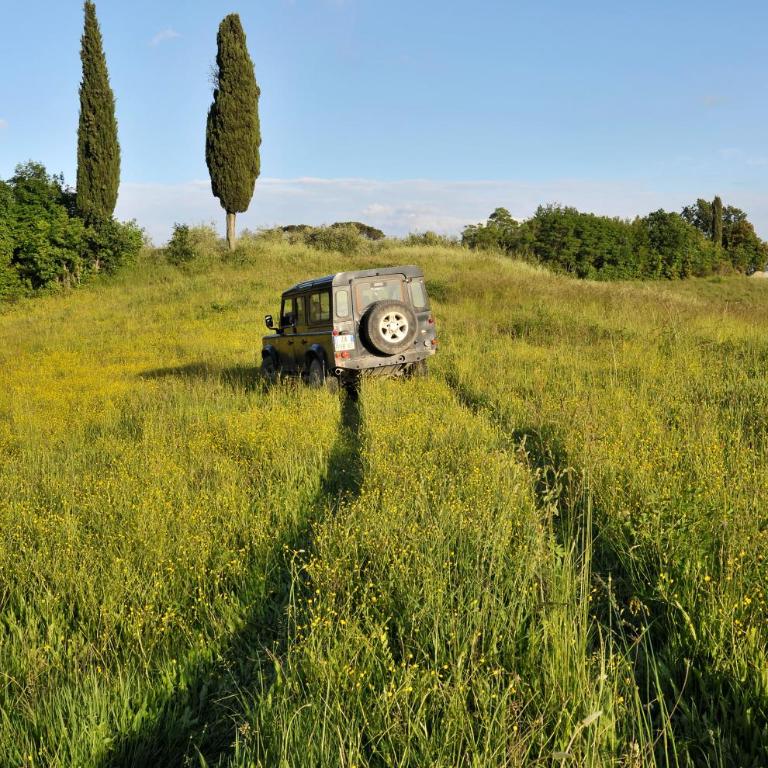 Fattoria Barbialla Nuova - Villa con Vista Giardino - 13