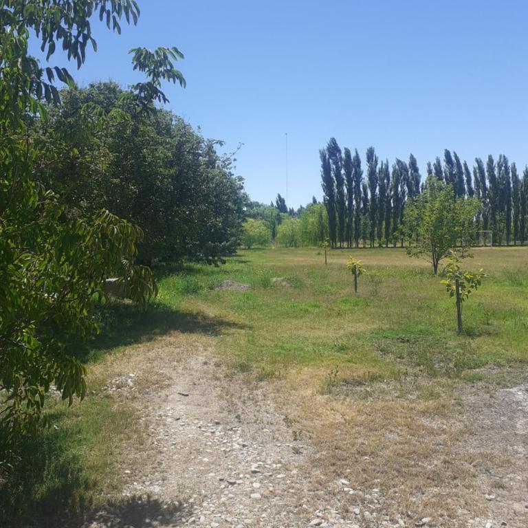 La Tiny House - Apartamento de 1 dormitorio - 3