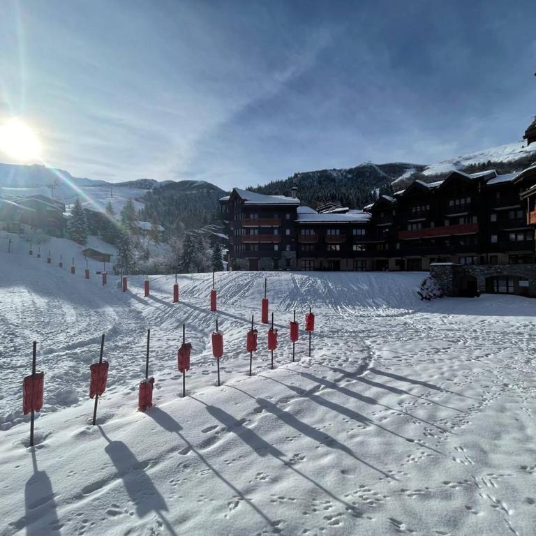 Appartement cosy à Valmorel avec balcon proche des pistes - FR-1-356-545 - Apartment - 18