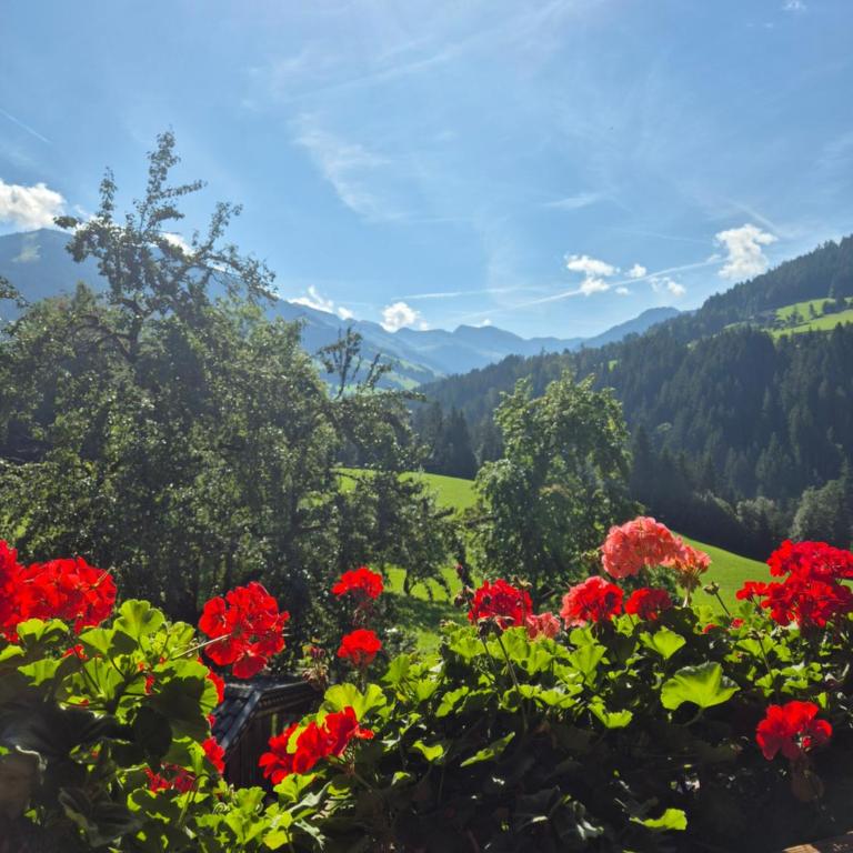 Wörglerhof's Hüttenapartments mit Kachelofen Farm Stay - Apartment mit 2 Schlafzimmern und Bergblick - 20