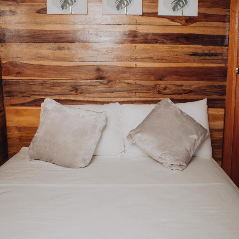 Castle Beach Hostel - Standard Double Room - 2