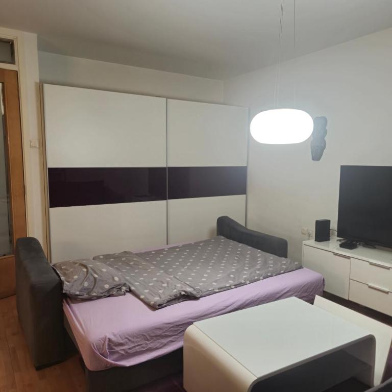 Violet - One-Bedroom Apartment - 3