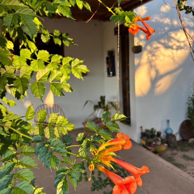 Casa de campo La Chunia - Casa de 3 dormitorios - 20