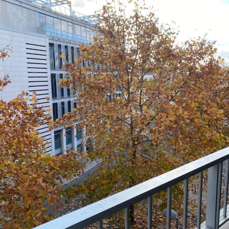 FLC- Vaste T2 -Parking-Air Conditioning-Terrace-6p-St Charles - Apartment mit 1 Schlafzimmer - 17