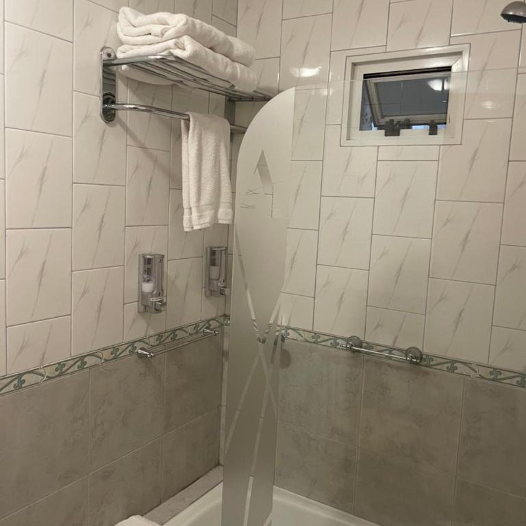 Hotel Ayres Del Nahuel - Habitación Doble Clásica - 11