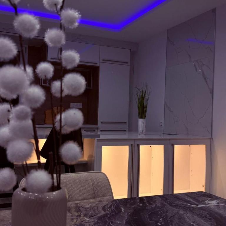 Luxueux appartement T3 - Appartement 2 Chambres - 6