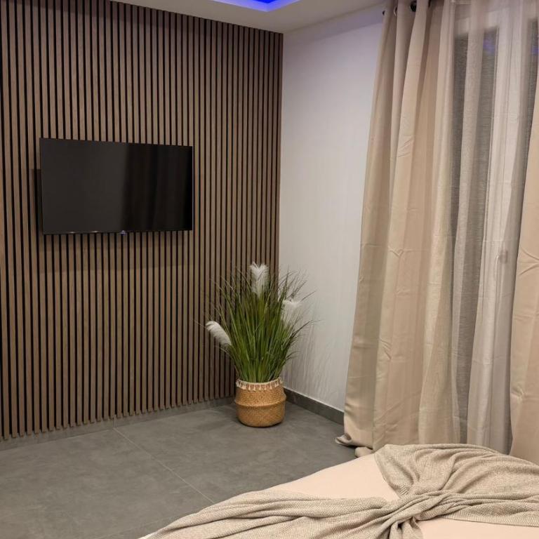 Luxueux appartement T3 - Appartement 2 Chambres - 12