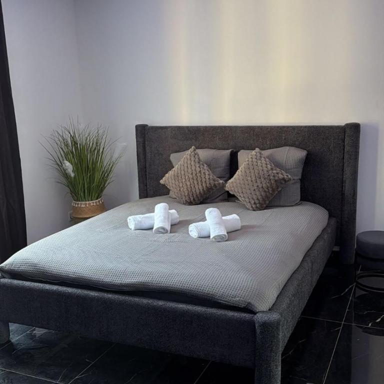 Luxueux appartement T3 - Appartement 2 Chambres - 18