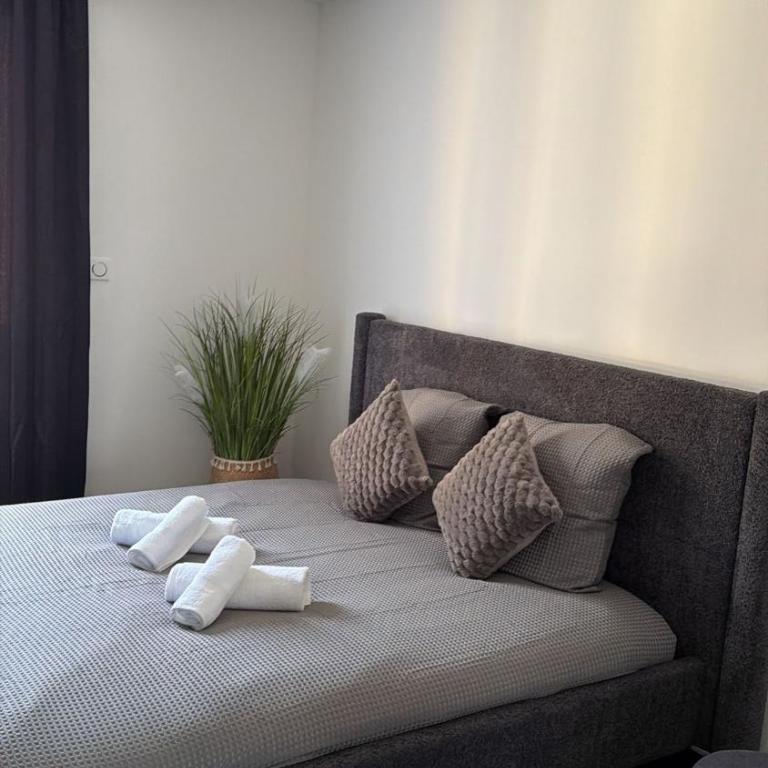 Luxueux appartement T3 - Appartement 2 Chambres - 19