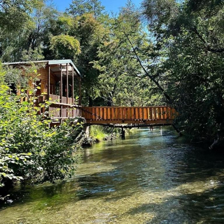 Los Coihues camping & hostel - Habitación Cuádruple Deluxe - 1