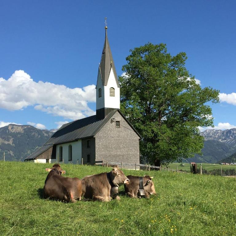 Wohnung Sonnenblume mit Infrarotkabine und Sommer Hörnerbahnen kostenlos - Apartment mit Blick auf die Berge - 13