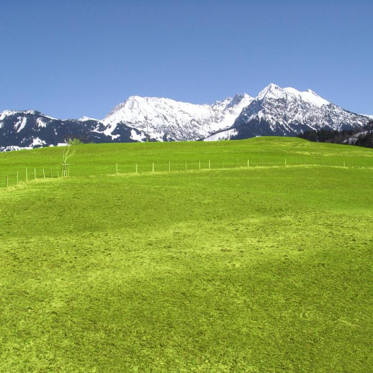 Wohnung Bergblick - mit Sommer Hörnerbahnen kostenlos - Appartamento con Balcone - 12