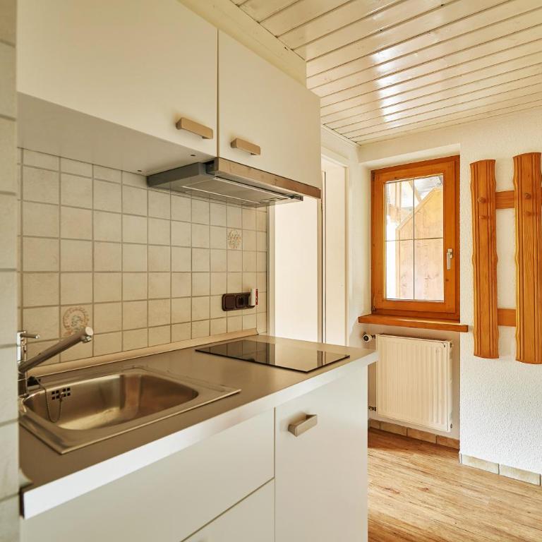 Apartment Goofy - Ihr Allgäu-Auszeit mit Hund - Apartment mit Balkon - 4