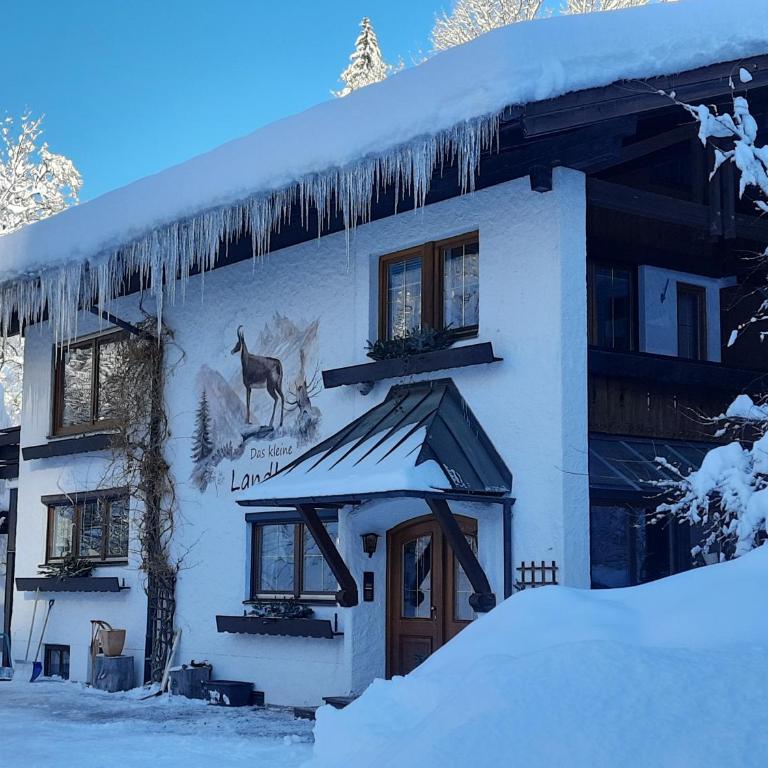Apartment Lupo - Ihre Allgäu-Auszeit mit Hund - Apartment mit Balkon - 13